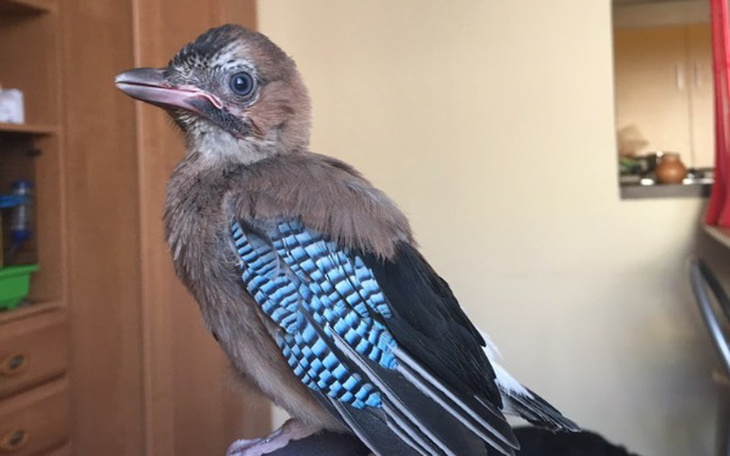 Zbiórka Sznasa na lepszy start - zdjęcie główne