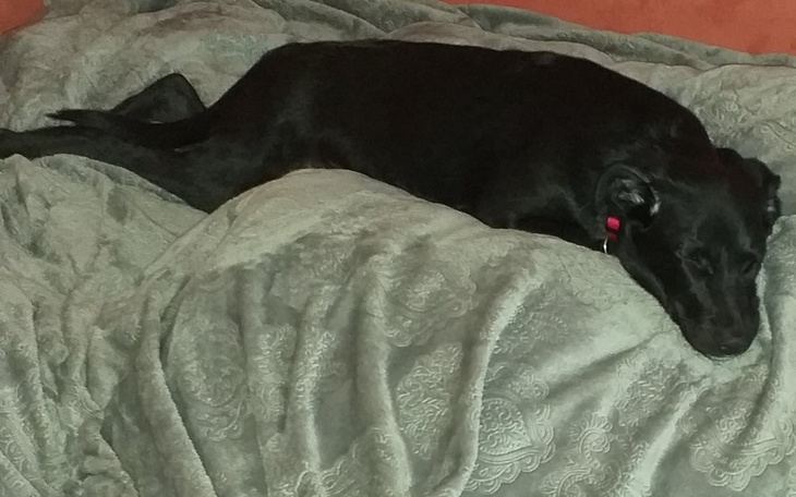 Zbiórka Pomoc dla Tiny po wypadku. - zdjęcie główne