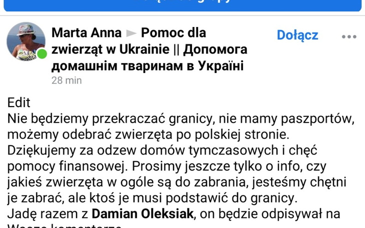 Zbiórka Przewóz zwierząt z Ukrainy - zdjęcie główne