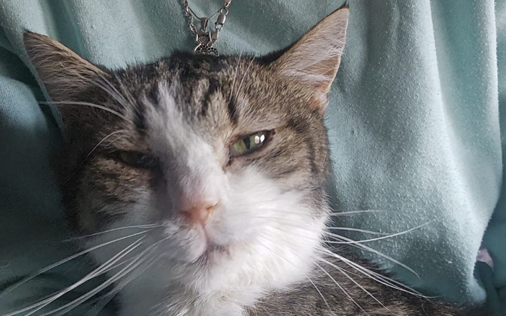 Zbiórka Dwie eFki i jeden On- Markus - zdjęcie główne