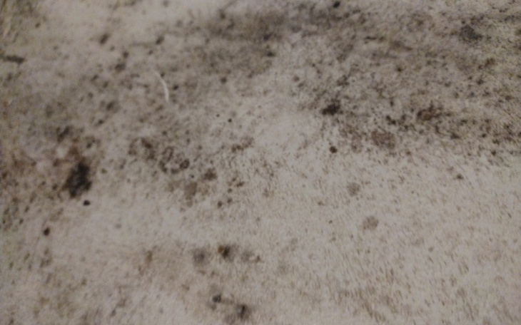 Zbiórka Na własne mieszkanie , swój kont - zdjęcie główne