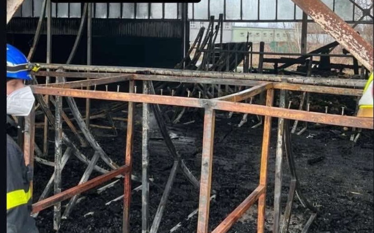 Zbiórka Zbiórka na odbudowę skateparku K - zdjęcie główne