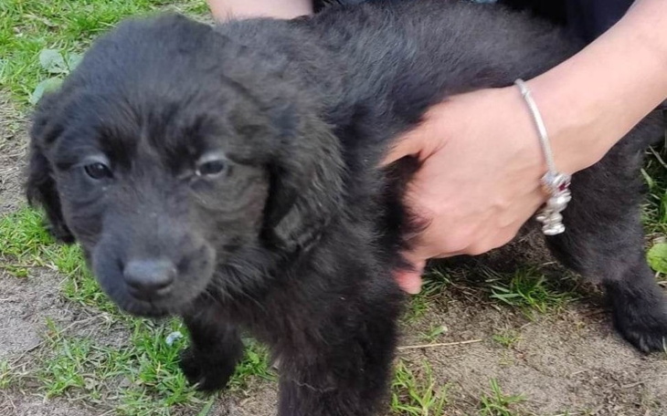 Zbiórka Beta, Beti i Mama - zdjęcie główne