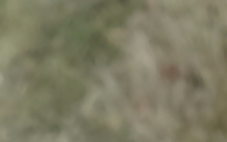 Zbiórka NA ŻyCIE 😀 - zdjęcie główne