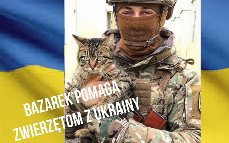 Zbiórka Bazarek dla zwierząt z Ukrainy - zdjęcie główne