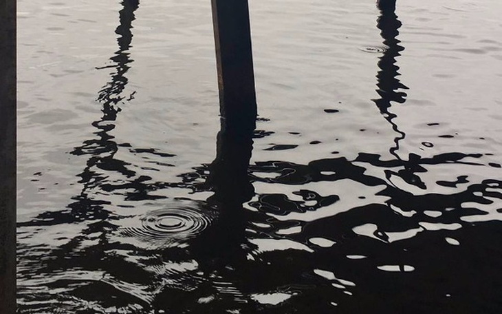 Zbiórka album - zdjęcie główne