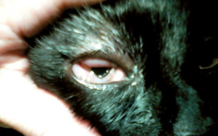 Zbiórka Daj mi przezyc kolejny dzien - zdjęcie główne