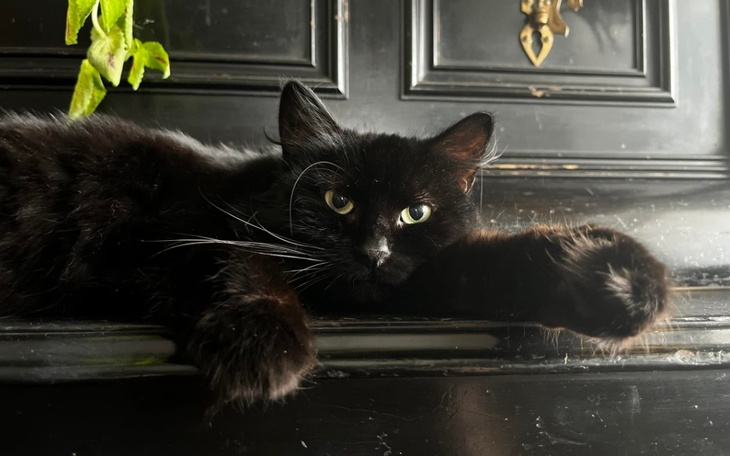 Zbiórka Mimi mówi wygram z FIP - zdjęcie główne