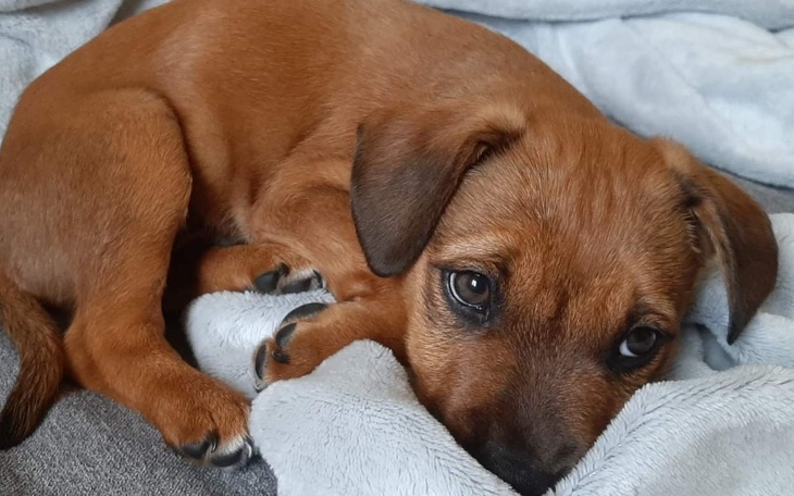 Zbiórka Czy to już musi być koniec - zdjęcie główne