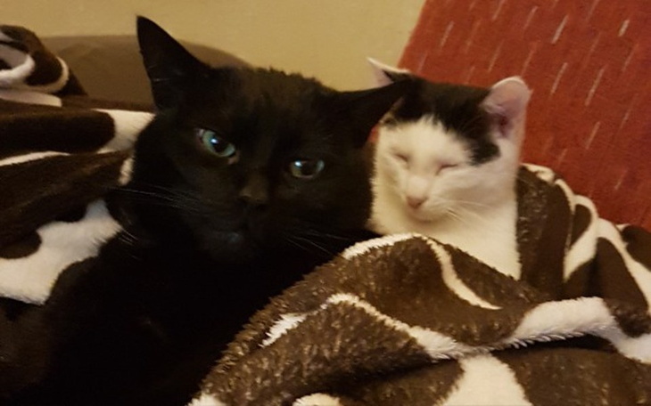 Zbiórka TOZ Tychy - zdjęcie główne