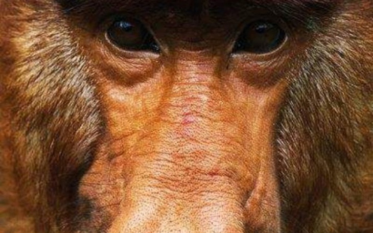 Zbiórka Podróż marzenie - zdjęcie główne