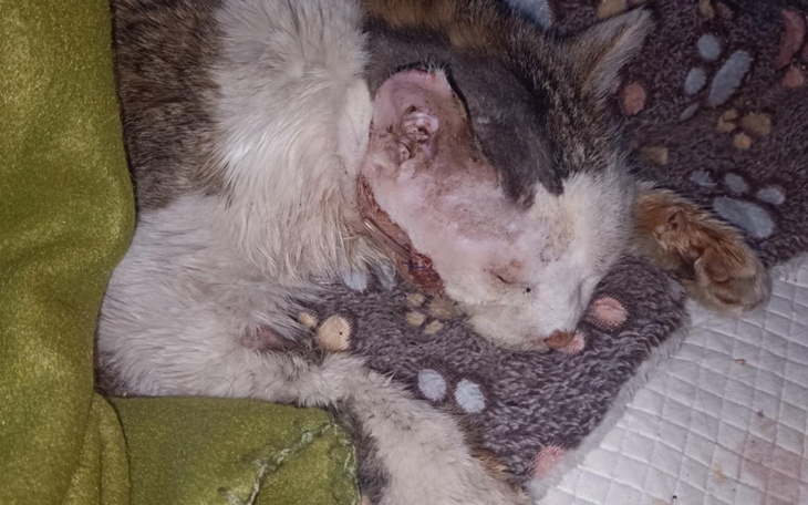 Mężczyzna w stroju sportowym na bieżni, promujący wydarzenie.