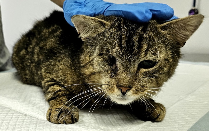 Zbiórka Benio - zdjęcie główne