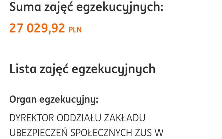 Zbiórka Zadłużenie ZUS - zdjęcie główne