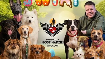 Zbiórka Wielkanocna Zbiorka - Pomóż - miniaturka zdjęcia