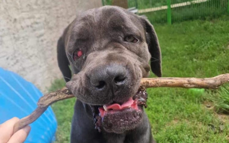 Zbiórka Operacja porzuconego Zeusa - zdjęcie główne