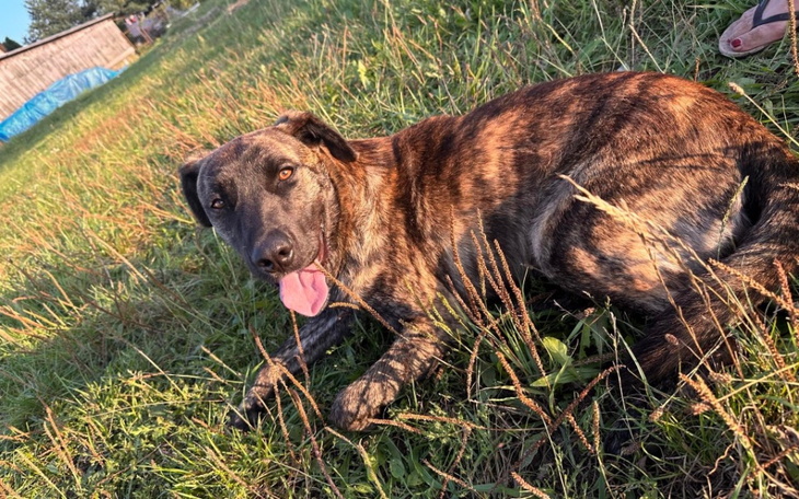 Zbiórka Cuda się zdarzają będzie DOM - zdjęcie główne