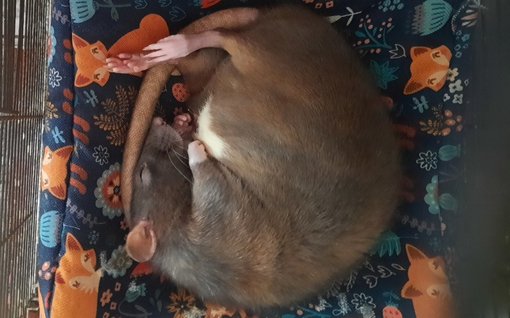 Zbiórka Brudna Walka - zdjęcie główne