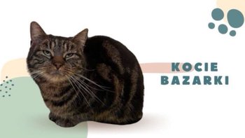 Zbiórka Aniołkowe licytacje, bazarki - miniaturka zdjęcia