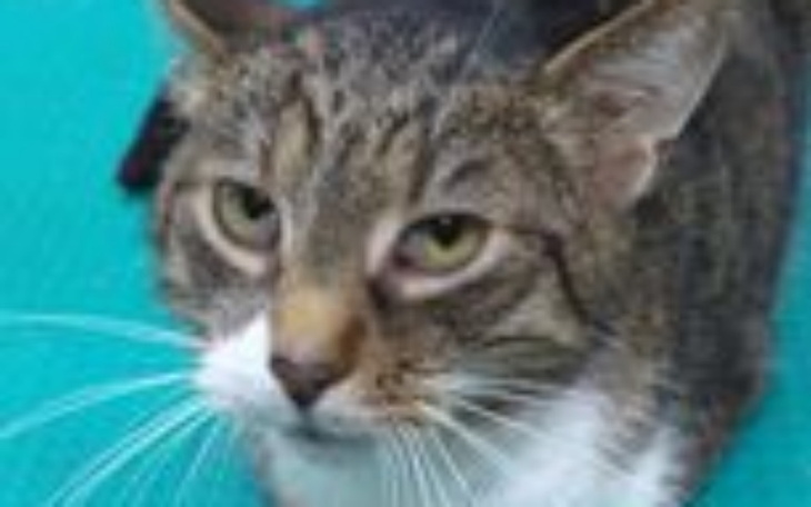 Zbiórka Walczymy o Stasia - zdjęcie główne