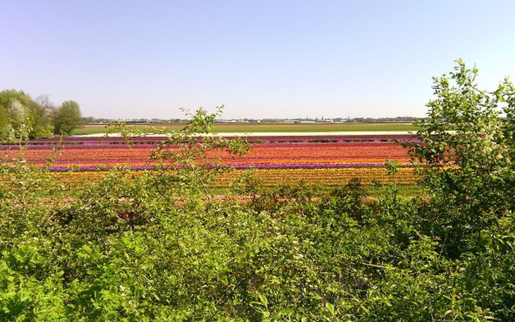 Zbiórka Życie bez kredytu - zdjęcie główne