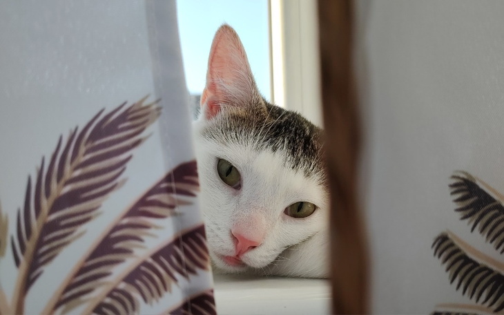 Zbiórka Choroba chce nam odebrać Rico - zdjęcie główne