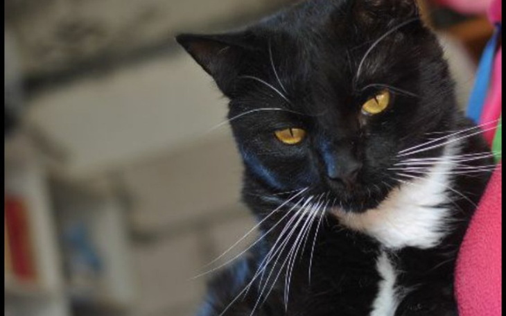 Zbiórka Pomozcie potrzebne wsparcie - zdjęcie główne