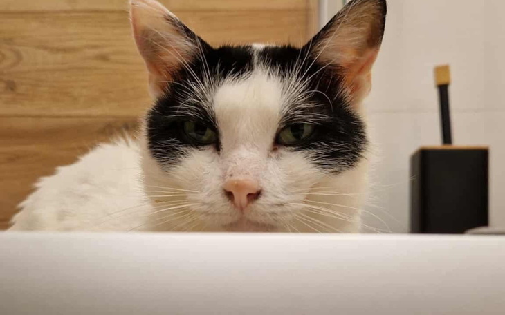 Ilustracja projektu wspierającego lokalne inicjatywy.