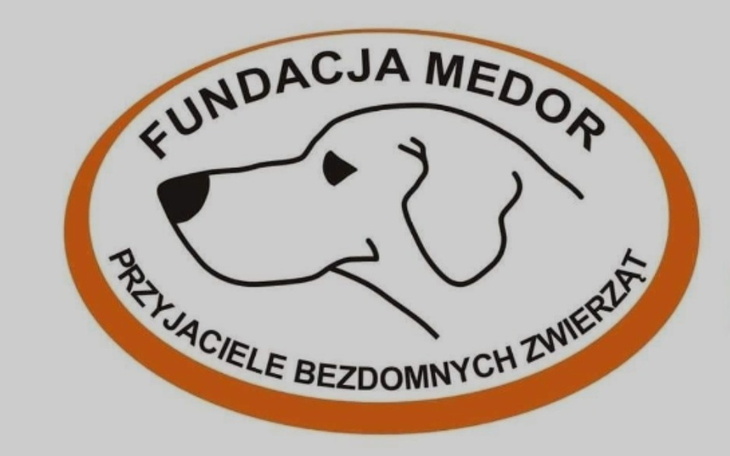 Zbiórka Schronisko zwierząt - zdjęcie główne