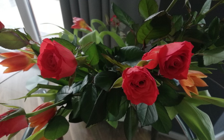 Zbiórka Na koszty wydania książki - zdjęcie główne