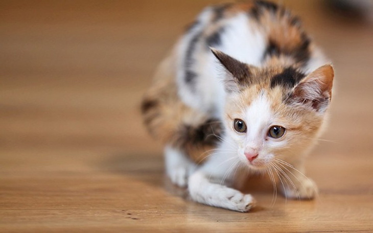 Zbiórka Pomóż nam spłacić dług! - zdjęcie główne