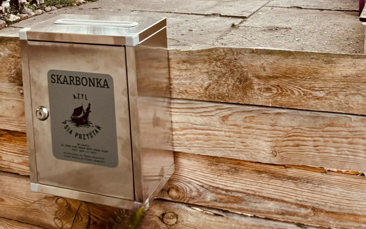 Zbiórka Pomoc Azylowym psiakom - zdjęcie główne