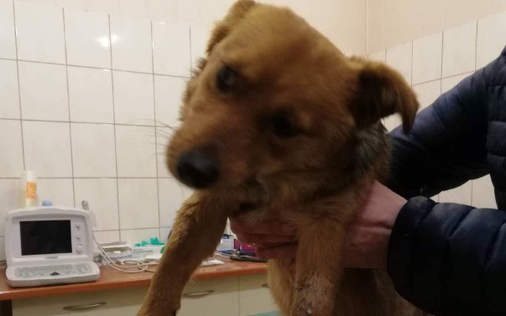 Zbiórka Mam zespól przedsionkowy,pomóż! - zdjęcie główne