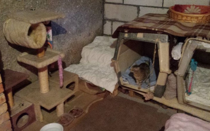 Zbiórka Pilne!!!-remont kociarni - zdjęcie główne