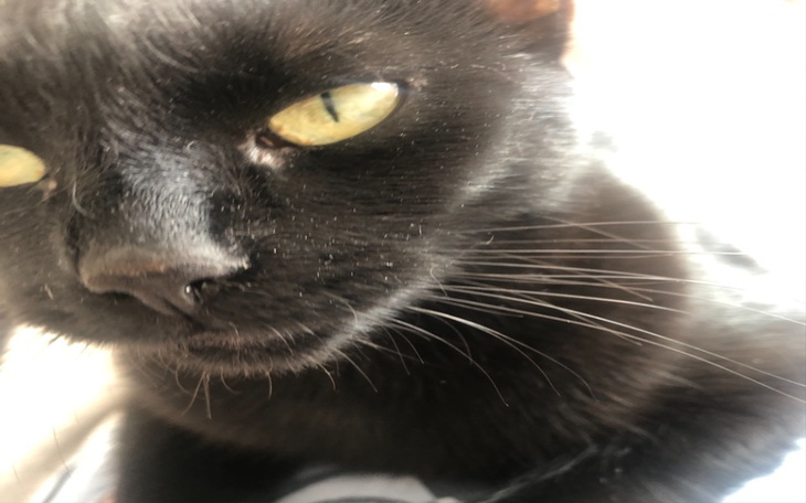 Zbiórka Marze o lepszym i godnym życiu - zdjęcie główne