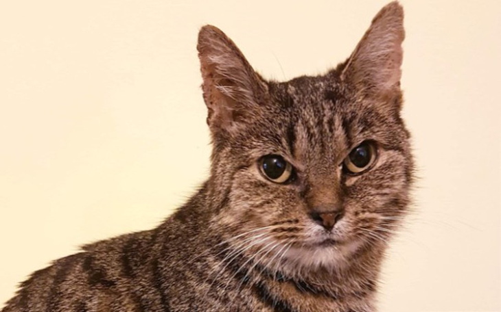 Zbiórka Pomoc dla Ruci - zdjęcie główne