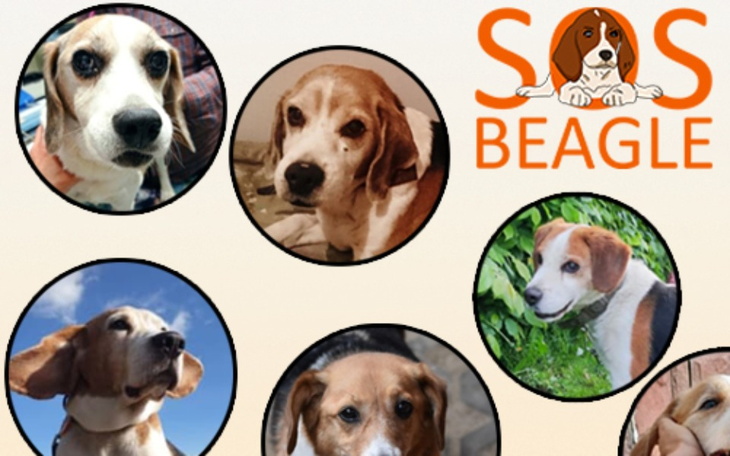 Zbiórka Opłata Hotelu za Lipiec 2022 - zdjęcie główne