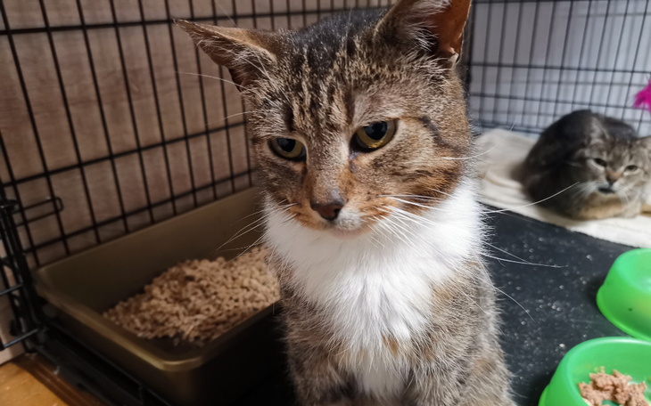 Zbiórka Transparetność to podstawa VIII - zdjęcie główne