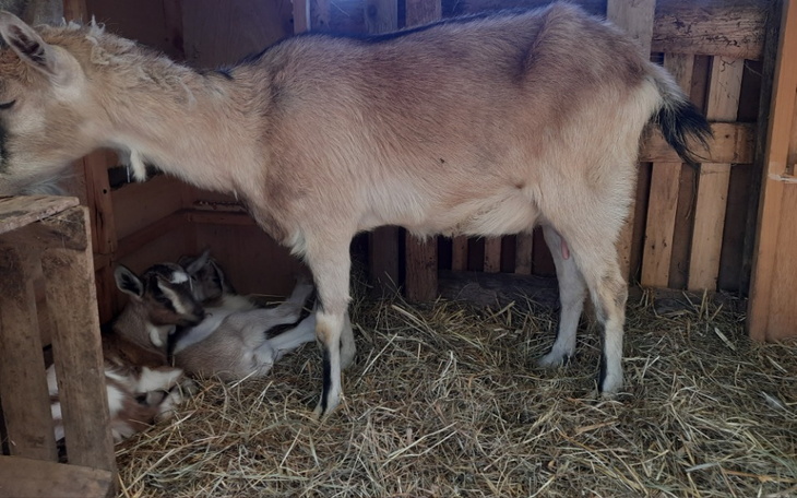 Zbiórka Z targu po śmierć - zdjęcie główne
