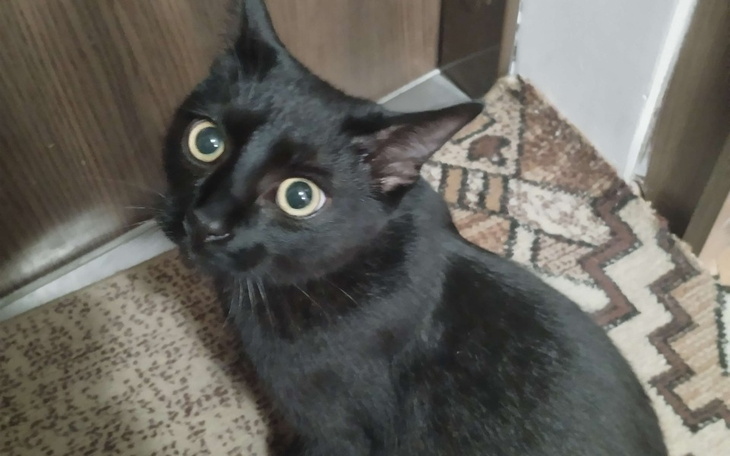 Zbiórka Na leki, mieszkanie i terapię - zdjęcie główne