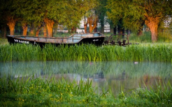 Stara łódź na spokojnej wodzie otoczonej drzewami.