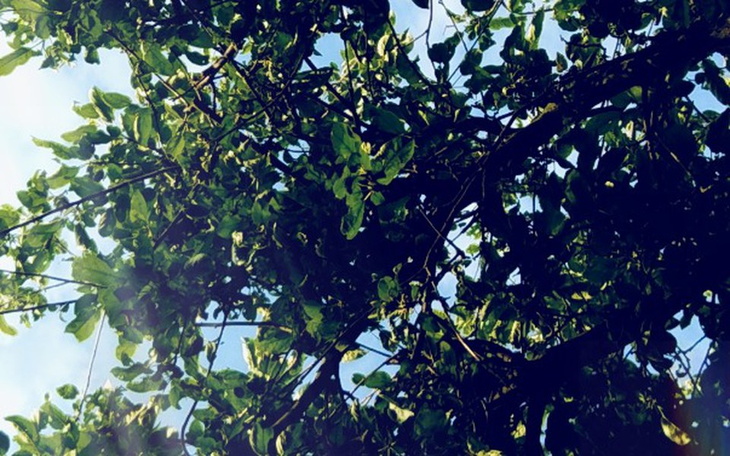 Zbiórka Dziękuję za wszelką pomoc 🙏 - zdjęcie główne