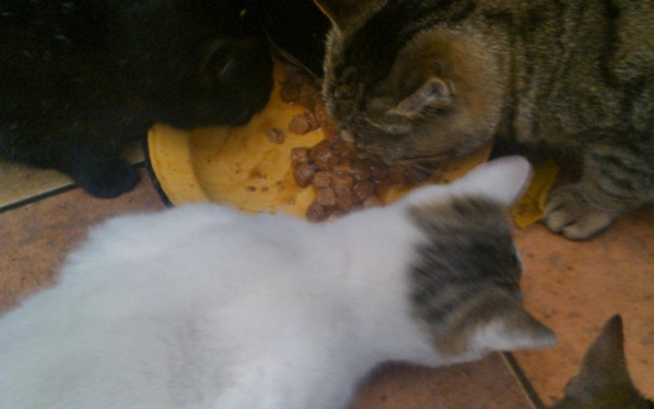 Zbiórka Proszę o pomoc ❤️ - zdjęcie główne