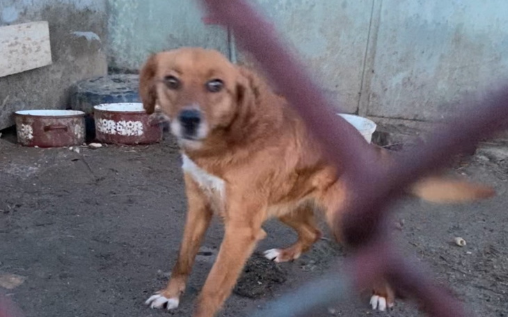 Zbiórka Koniec wegetacji w błocie - zdjęcie główne