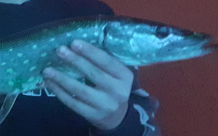 Zbiórka Rozwój w wędkarstwie - zdjęcie główne