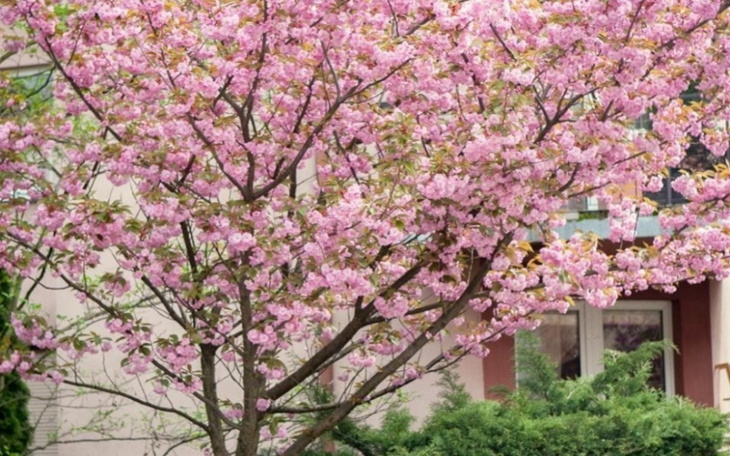 Zbiórka Ja nie proszę Ja błagam o pomoc - zdjęcie główne