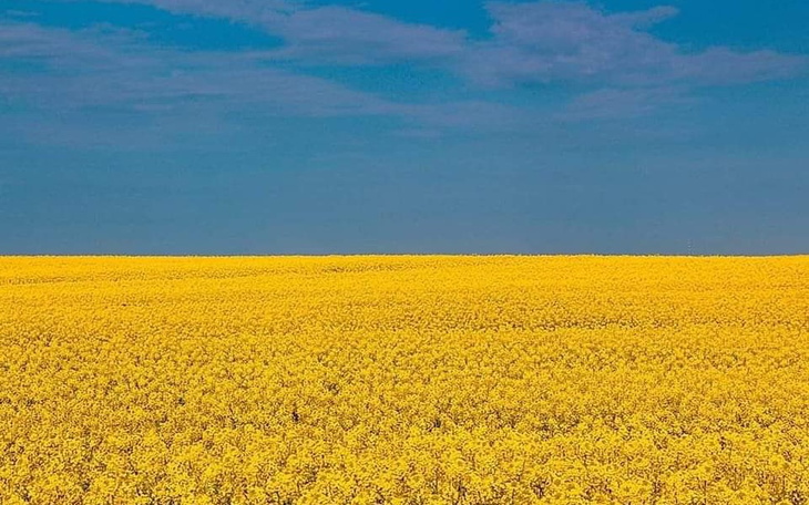 Zbiórka Transport, do PL granicy - zdjęcie główne