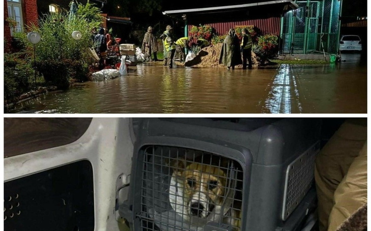 Zbiórka Zbieramy na odbudowe schroniska - zdjęcie główne