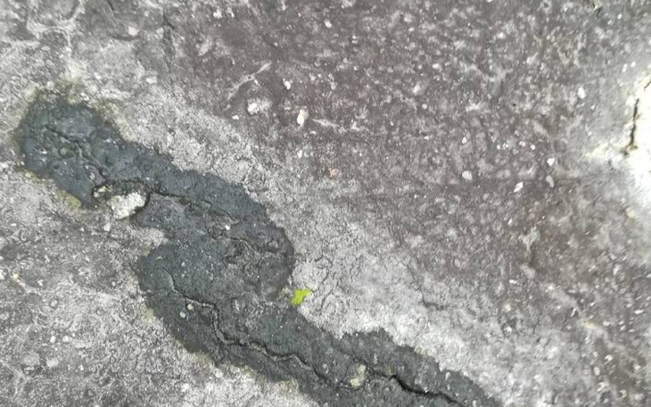 Zbiórka Zakup papy na pokrycie dachu - zdjęcie główne