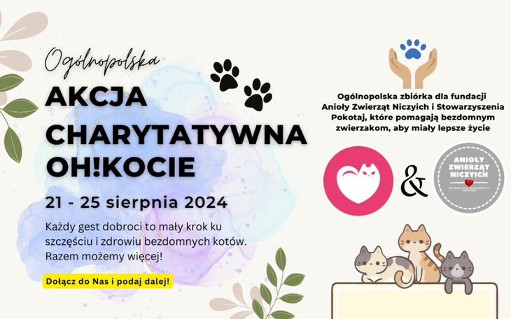 Zbiórka Akcja OHKOCIE zbiórka na kotki - zdjęcie główne